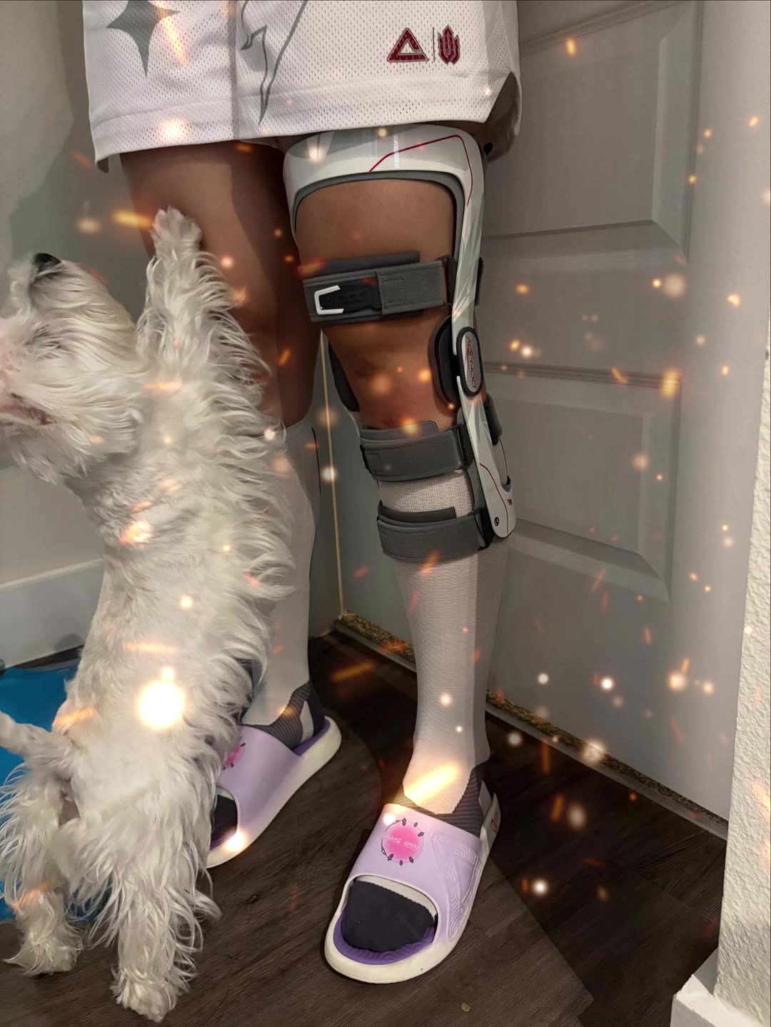 小宝裙子和护具很搭惦记着牌局的佩奇评论被闺蜜背叛了